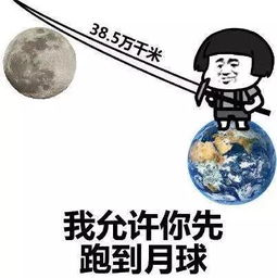  你喝过多少种贡茶笑得我牙疼