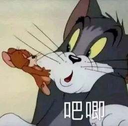  假离婚真出轨马上2020了,年底渣男集体上线营业