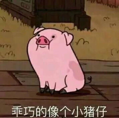  被人讽刺有文化如何反击