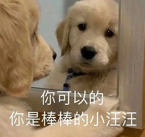  学习