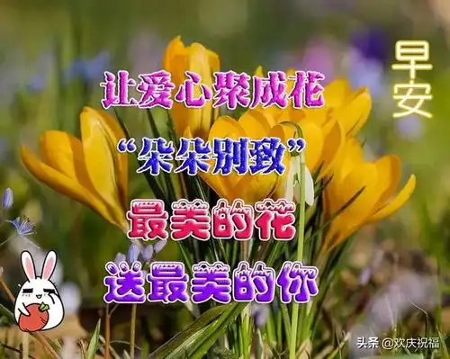  活得糊涂的人,容易幸福活得清醒的人,也就是容易烦恼,早安