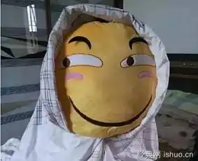  抱枕界已疯撩妹就靠它了