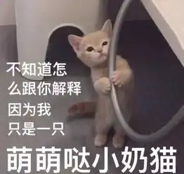  主人,我知道了,请你不要再说了为什么人们试图与动物说话搜狐宠物搜狐网
