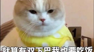  肥宅生活,草莓车厘子螺狮粉叉烧包吃睡吃睡哈哈