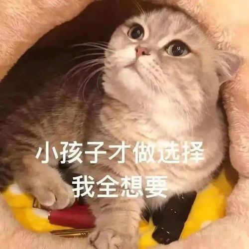  看了以家人之名,你会选择体面的工作还是自己喜欢的工作