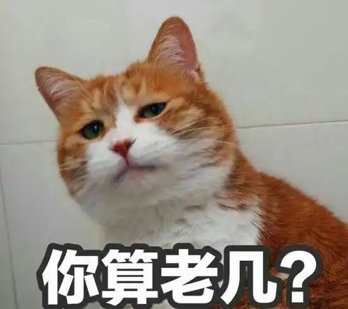 算我求你的表情包猫你们