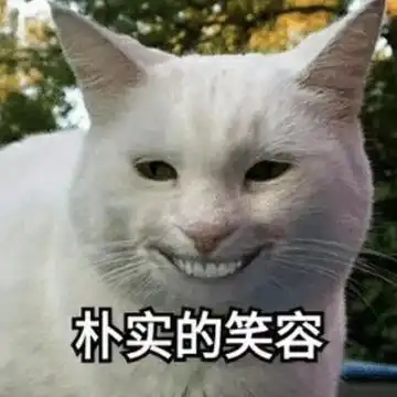 新奇好物  新奇好物