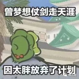  养蛙图个什么图个清静附攻略