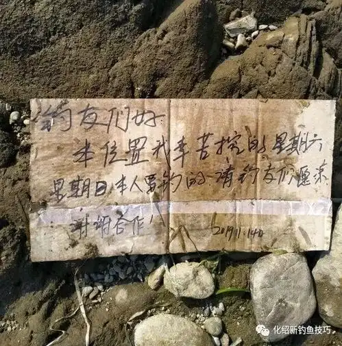  经历了一次次的空军,钓友写下了这篇千字文