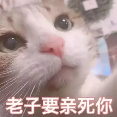  情侣撒娇撩人表情包你的江湖多远我都来