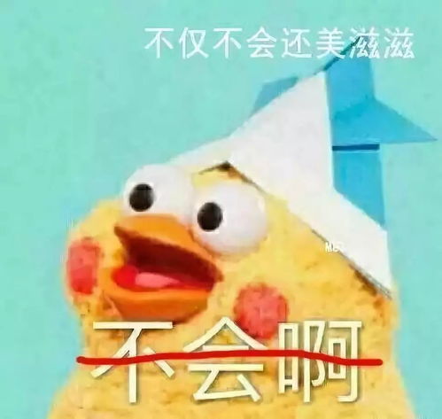  普京就要来中国啦网友提问画风让人笑到炸裂