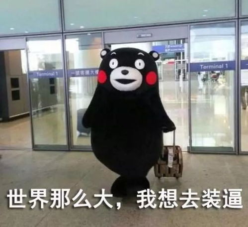  你最爱的表情包熊本熊商标被抢注,官方注册正名酷ma萌