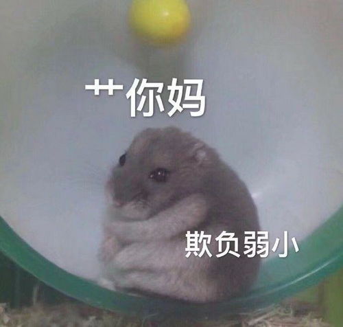 兔子吞脑袋表情包一套小