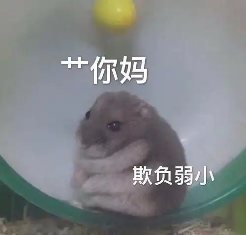  我的收藏夹