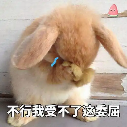兔子吞脑袋表情包一套自