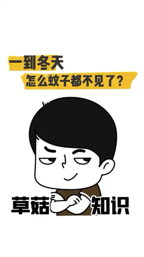  一到冬天,蚊子都跑哪里去了蚊子冷知识科普知识