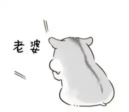  参见老婆大人表情包合集