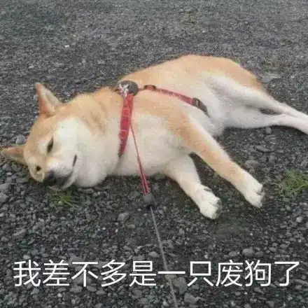  这年头要是没文化,连段子都看不懂了哈哈哈哈哈哈