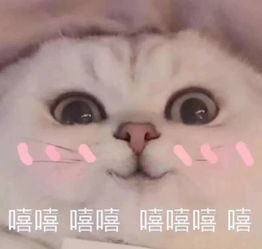  被粉丝怒骂整形怪,但明明整的很纯天然啊