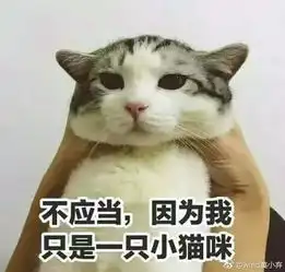  最让人悲愤的事是,有人说某人跟端午越长越像可以说是两败俱伤