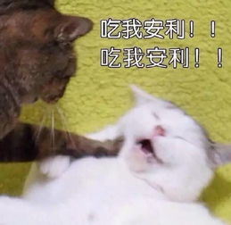 吃薯片的表情包杀驴