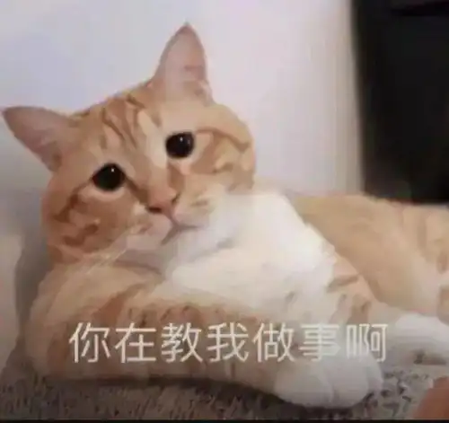  微信号可以修改了网友终于来了,再活一次的机会