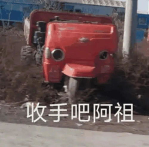 今日份表情包再理你我就是小狗