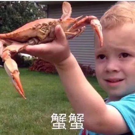  热搜第一知名男演员中招,骗子终于对大闸蟹下手了
