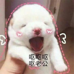  呕呕gif动态图呕呕表情包呕呕gif动图soogif