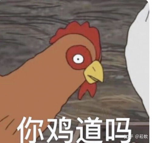  在扬州大学广陵学院读书是什么感受啊
