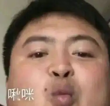 丽丽表情包岂是