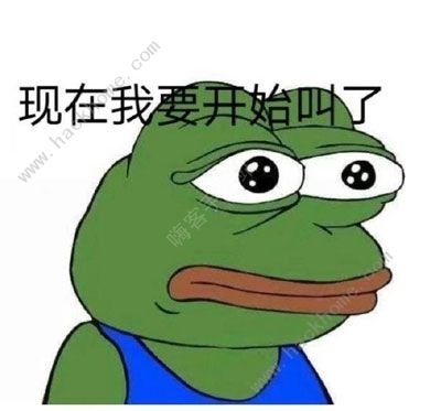  七夕蛤蟆孤寡孤寡是什么梗微信app七夕蛤蟆头像表情包全套免费分享