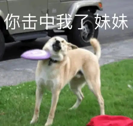  沙雕汪星人表情包