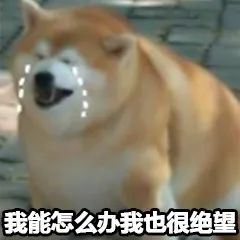  贵妇大牌平价小众扎堆力捧的亮眼新品,我忍你很久啦
