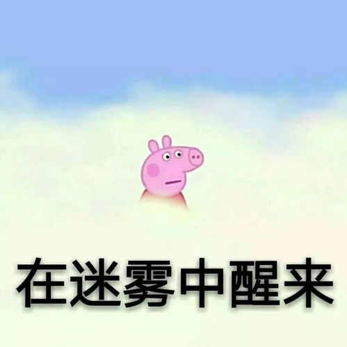  收好这套小猪佩奇表情包,怼人撕逼剁手卖萌都充满了底气