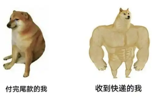 柴犬带字表情包ems