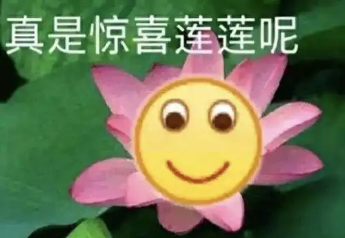 表情包看一个人浪卡