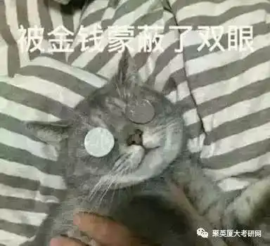  用一句话或一张表情形容你的考研专业