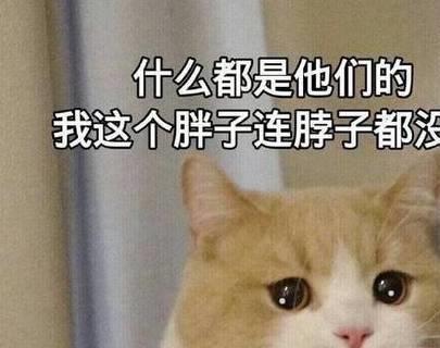  养猫的4大好处,第4个最有意思