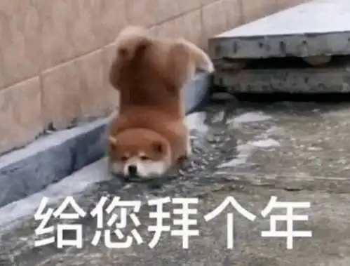 疫情两年,被偷走的时光,夺走了你的什么  疫情两年,被偷走的时光,夺走了你的什么