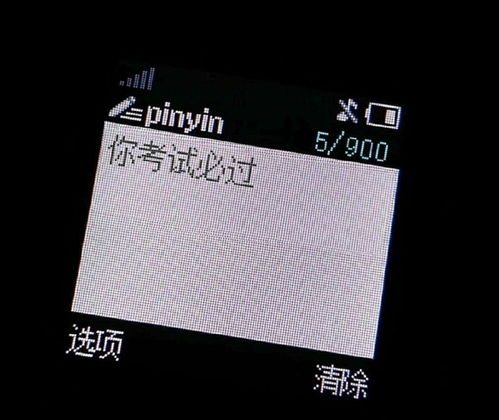  金榜题名表情包