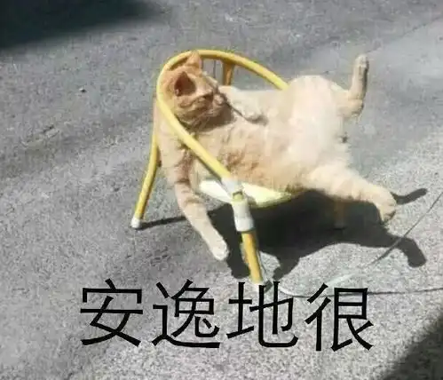  大学毕业是先考研还是先考公