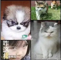  顺德外语培训学校