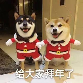  除夕鞭炮声声迎新年,妙联横生贴门前
