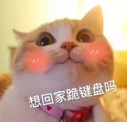  我的室友只适合做小公举的原因