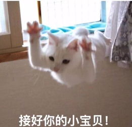  七夕特辑爱似明月朗