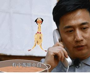  我真棒gif动态图我真棒表情包我真棒gif动图soogif