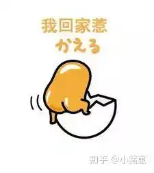  想问一下有没有很可爱的那种收拾行李我要回家啦的表情包啊是罗熙的更好哦