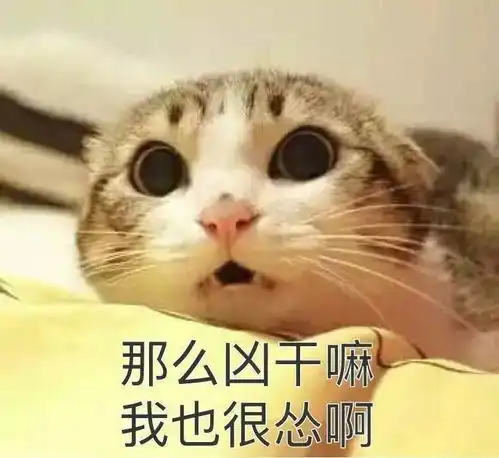  男默女泪网红爆款美容仪大盘点