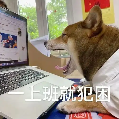  表情包你们玩吧我加班